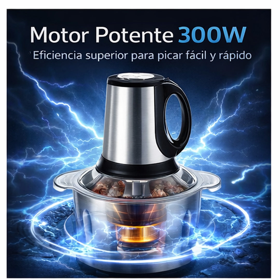 Molino Picador Eléctrico